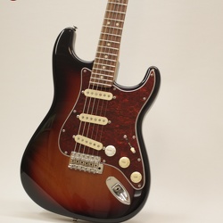 Custom E-Guitar · Fender© Bauteile